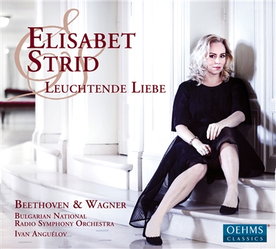 Elisabet Strid Leuchtende Liebe CD Cover