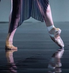martinschlaepfer eindeutschesrequiem ballerina cein ballettschuh