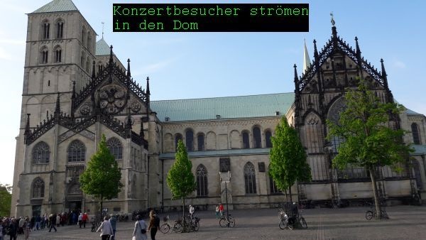 dom münster