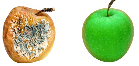 schö