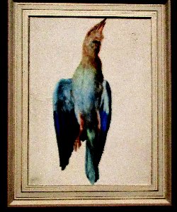 02 arci dürer bogel img vv 7521~1