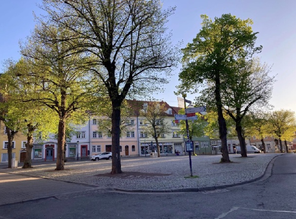 arn1