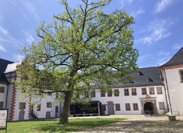 dornornehren