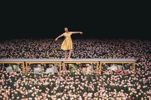 foto 1 tanztheater wuppertal pina bausch terrain boris charmatz nelken (c) yakoone~1