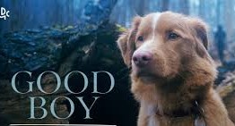 film good noy est ccc