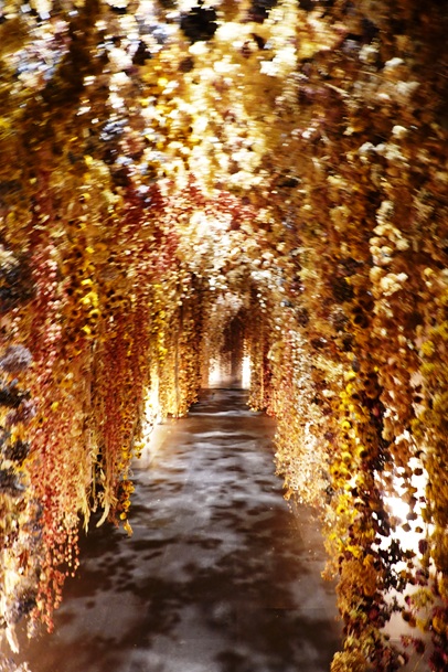 roma flowers 12 kelch von rebecca louise law foto von andrea matzker dsc08481