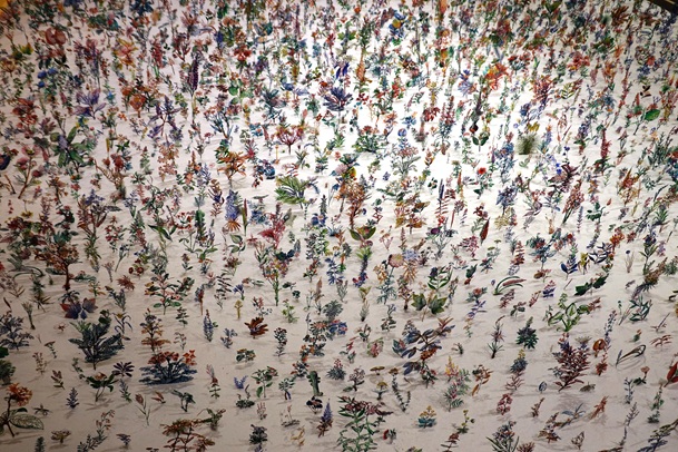 roma flowers 9 blackfield in farbe von zadok ben david foto von andrea matzker dsc08500