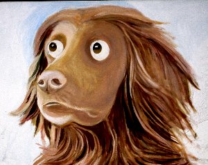 animalia hund kopf c img 5977~1