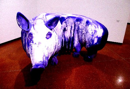 animalia schwein c mg 6030~1