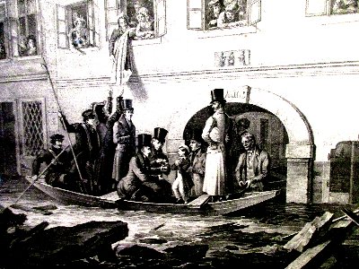 donausinsel ho cchwasser img 5899~1