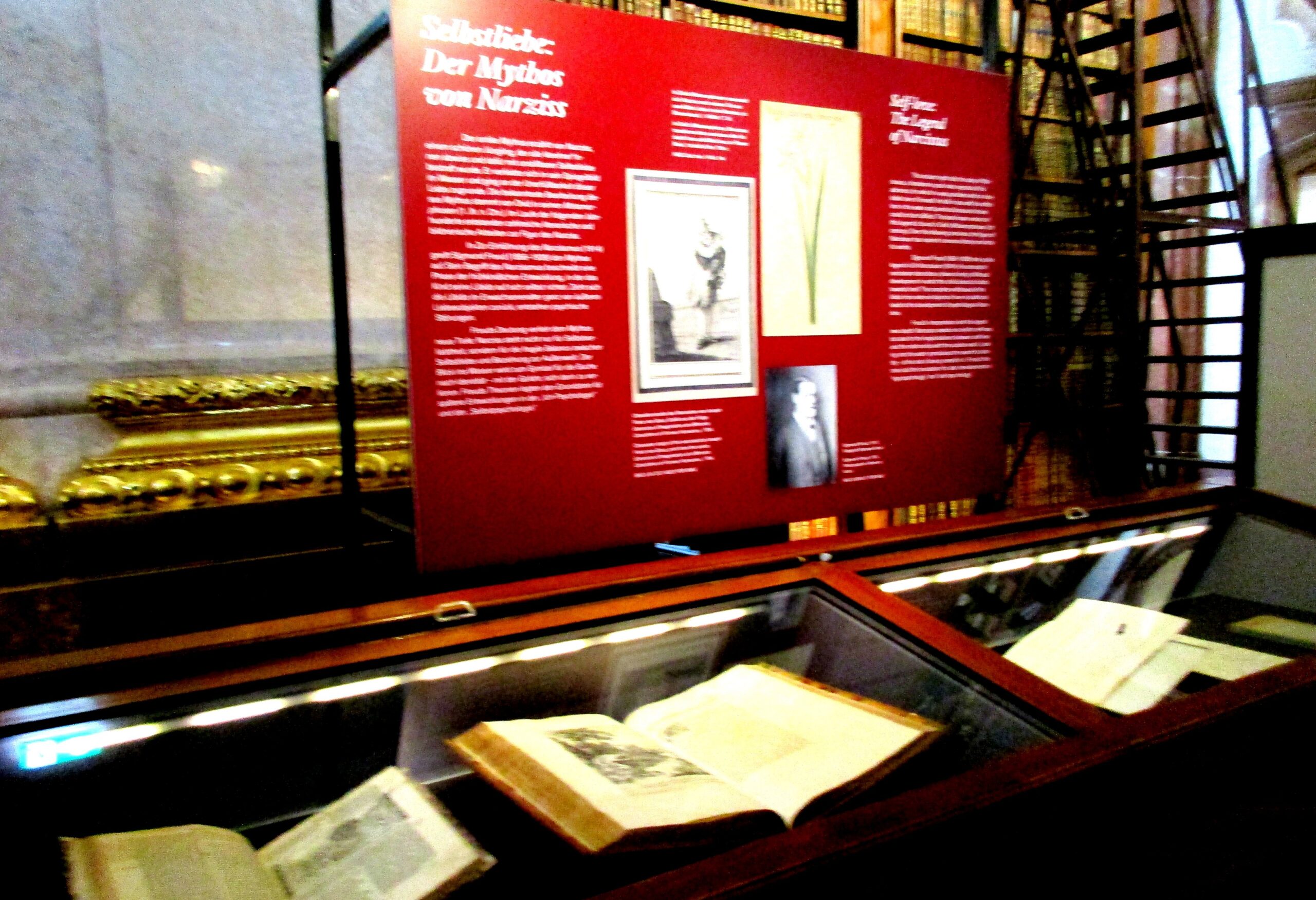 iliebe raum mg 5 c712~1