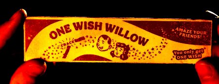 film obsession one wish willow 100~1